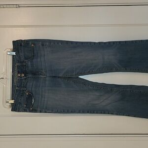 American Eagle "Artist" jeans (10 Long)